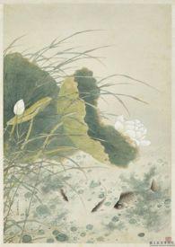 野有蔓草的蔓读什么