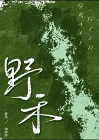 伪兄妹popo文推荐
