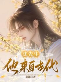 沈先生从天而降全文免费阅读