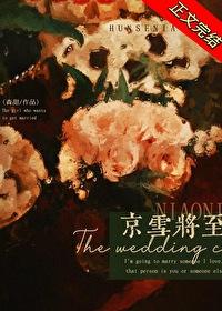 京雪将至讲的什么