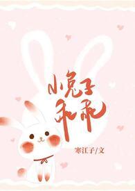 小兔子乖乖txt