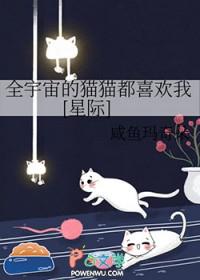 全宇宙最后一只猫最新章节