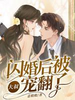 闪婚大叔宠妻不止