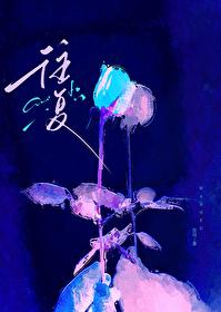 往复直线运动机构