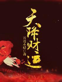 天降财运在线阅读
