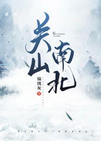 关山南北 锦绣灰