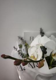 我的未婚妻大全