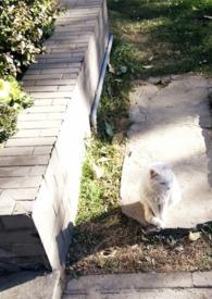 媚欢by百无顾忌笔趣阁