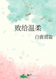 败给温柔番外