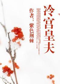 冷宫皇上
