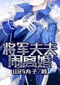 将军夫夫闹离婚by山药丸子txt