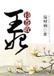 王妃待嫁中