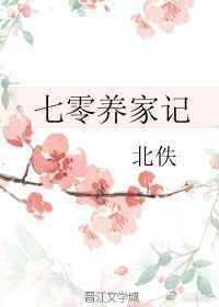 七零养家记 好看吗