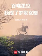吞噬星空我成了罗家女婿手打无错字版