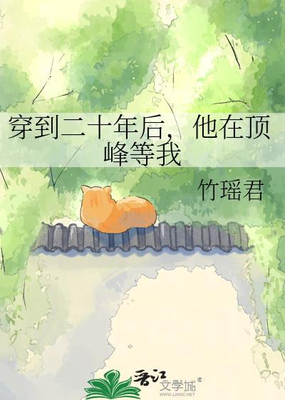 穿越到20年后的自己