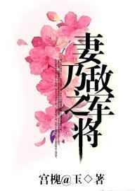 妻乃敌军之将谁是攻