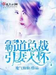 霸道总裁引妻入怀盛一航